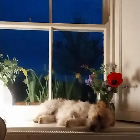 Felicity Cottage, W91 D1w3 Bed and breakfast