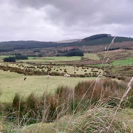Oda ve Kahvaltı Felicity Cottage, W91 D1w3