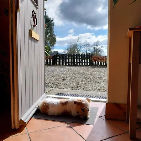 Felicity Cottage, W91 D1w3 Oda ve Kahvaltı 3*