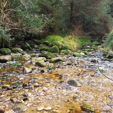 Oda ve Kahvaltı Felicity Cottage, W91 D1w3