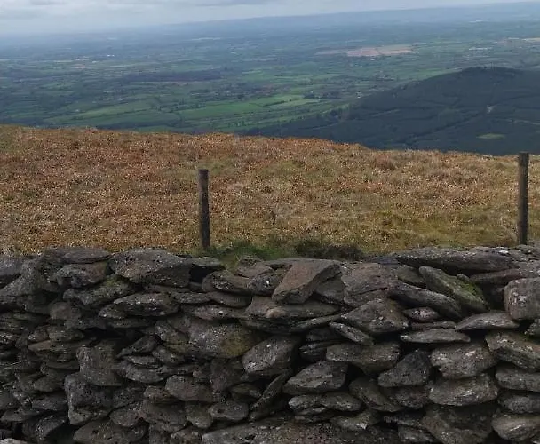 Bed & Breakfast Felicity Cottage, W91 D1w3 3*