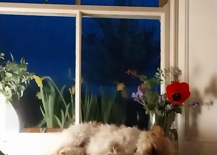 Felicity Cottage, W91 D1w3 Bed & Breakfast