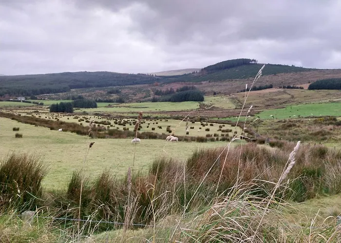 B&B Felicity Cottage, W91 D1w3