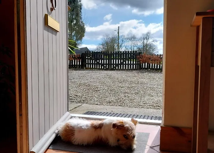 Felicity Cottage, W91 D1w3 B&B 3*