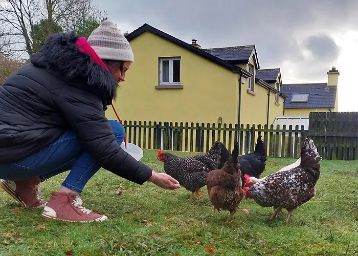 B&B Felicity Cottage, W91 D1w3 Kiltegan