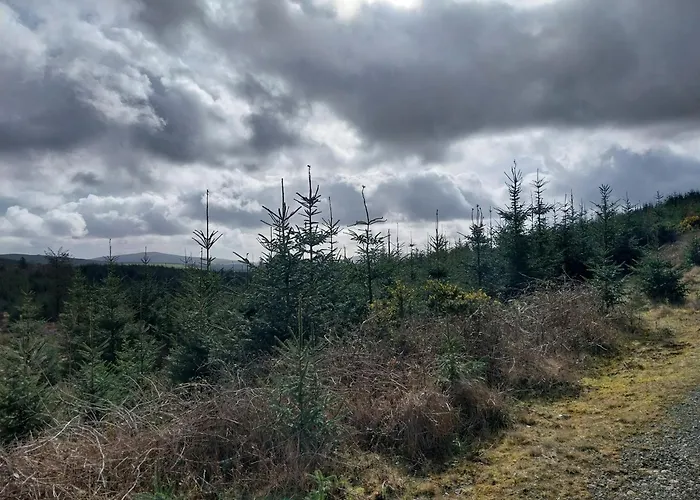 Felicity Cottage, W91 D1w3 3* Kiltegan