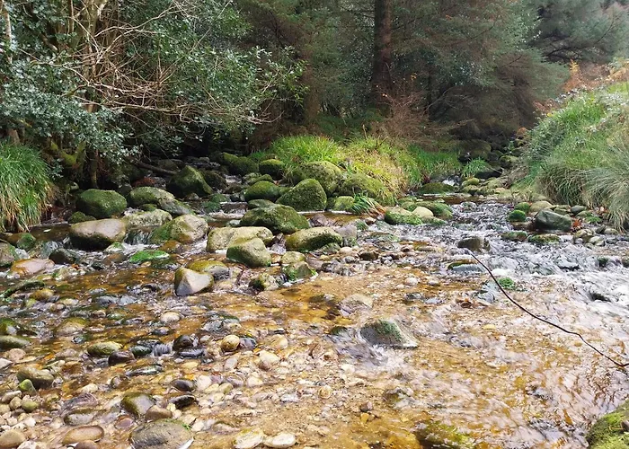 B&B Felicity Cottage, W91 D1w3